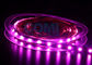 La couleur rose 25000K, 12/24 volts de 5050 de LED lumières de bande a mené les bandes légères 12mm FPC